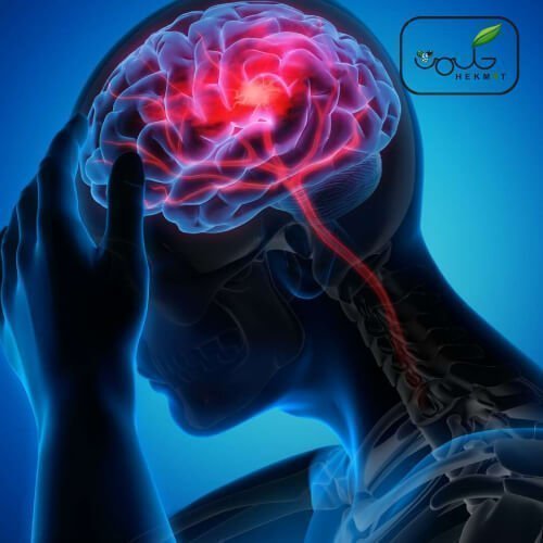  برای سودای بدن چی خوبه؟ + برای سردی مغز چی بخوریم؟