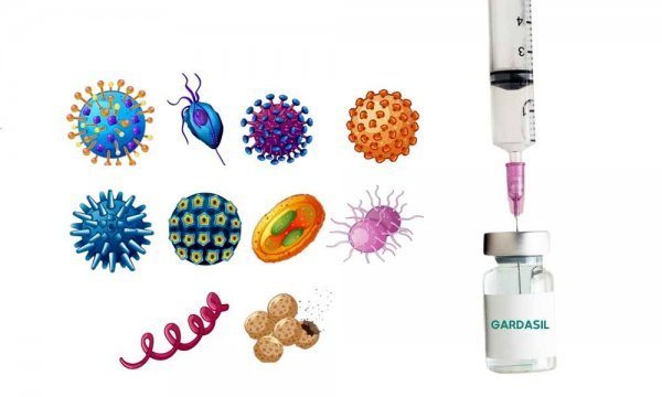  واکسن گارداسیل چند دوز دارد؟