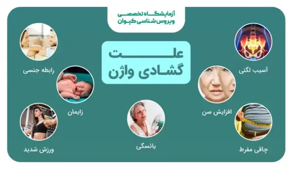  آیا رابطه جنسی زیاد باعث گشادی واژن می‌شود؟