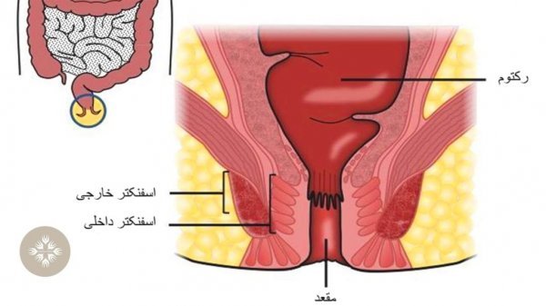  بهترین پماد برای تنگی مقعد