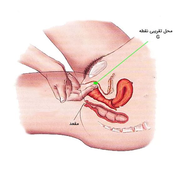  چرا واژن پاره می‌شود؟