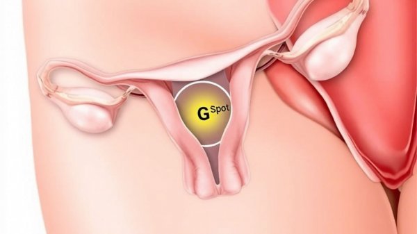  چرا واژن پاره می‌شود؟