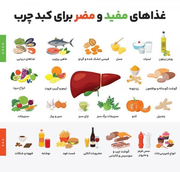  آیا کبد چرب باعث چاقی می‌شود؟