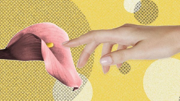  نزدیکی زیاد (سکس) با همسر از نظر اسلام + انواع پوزیشن برای سکس 