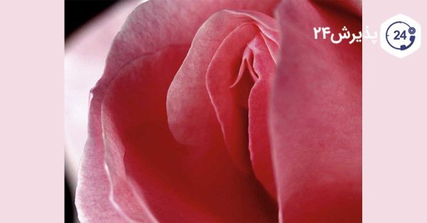  علت شور بودن ترشحات واژن + فواید خوردن ترشحات زن