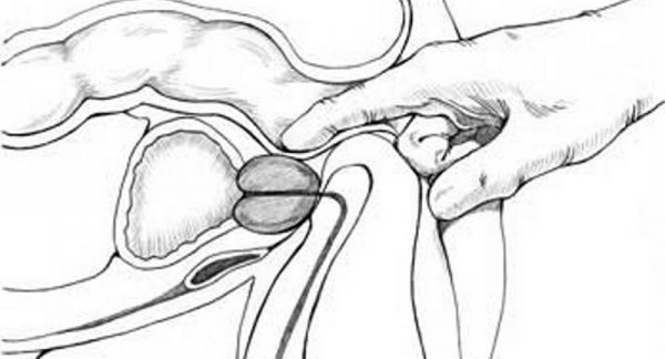  حکم مالش واژن توسط همسر از نظر اسلام + دخول با میوه از نظر اسلام