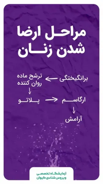  چرا بعد از سکس نفخ می‌کنیم + عشق بازی + ارگاسم + شهوتی شدن در دوران پریودی