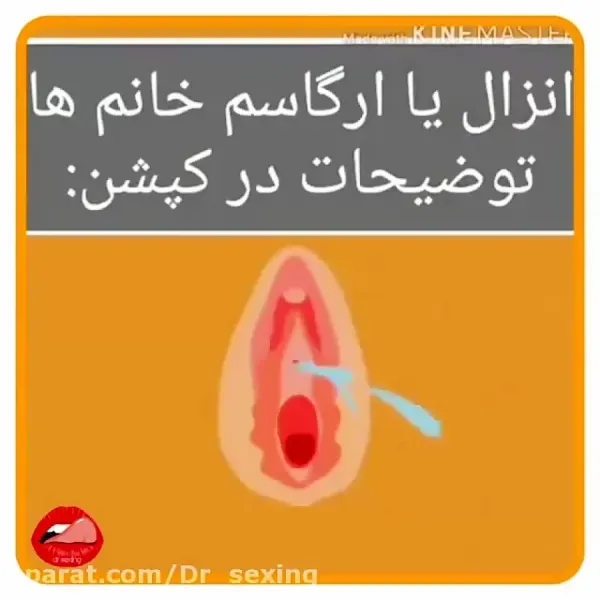  چرا بعد از سکس نفخ می‌کنیم + عشق بازی + ارگاسم + شهوتی شدن در دوران پریودی