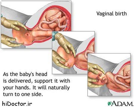  آیا سکس مقعدی غسل دارد+تشخیص سکس توسط پزشک+سکس مقعدی و بارداری