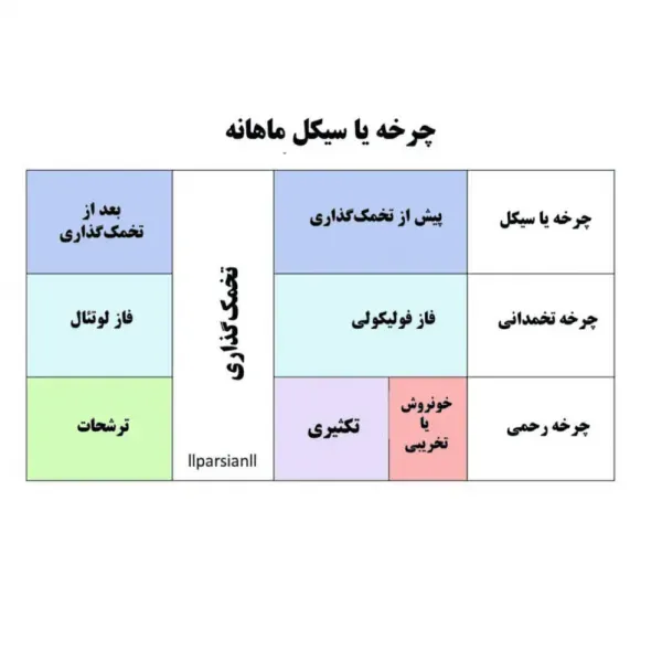 جلوگیری طبیعی+ کاندوم تاخیری + بهترین نوع کاندوم