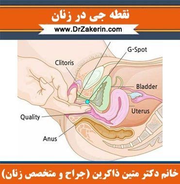 نقطه جی کجاست + قطره افزایش میل جنسی + افزایش میل جنسی در زنان و مردان