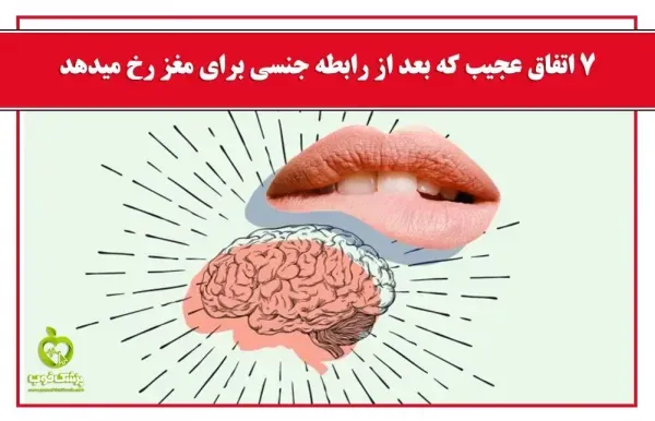  مردان تا چه سنی می‌توانند سکس داشته باشند + بارداری و کاهش میل جنسی