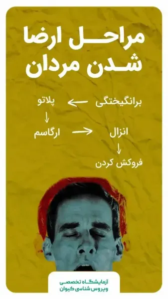  اگر هر روز ارضا شویم چه می‌شود + نشانه های مردان شهوتی + رابطه هات یعنی چی