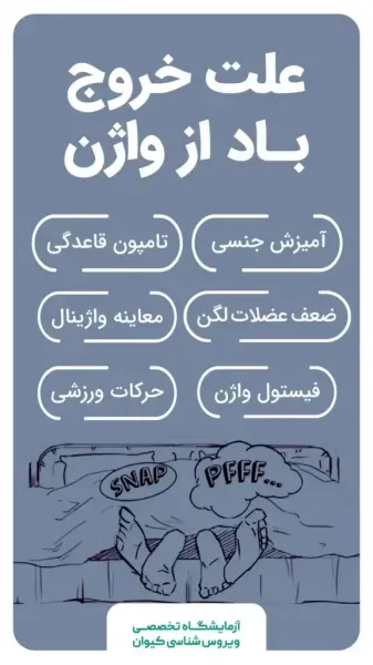  احتلام یعنی چی + موقع سکس آلتم شل می‌شود