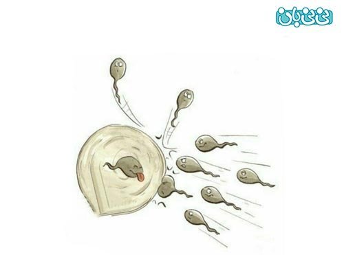  انتقال بیماری با کاندوم+قرص جلوگیری باعث نازایی می‌شود+ریختن اسپرم روی واژن