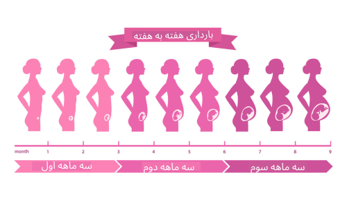  انتقال بیماری با کاندوم+قرص جلوگیری باعث نازایی می‌شود+ریختن اسپرم روی واژن