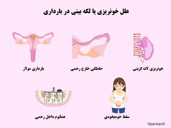 برای کم خونی در بارداری چه قرصی بخورم + قبل بارداری چه قرصی بخورم
