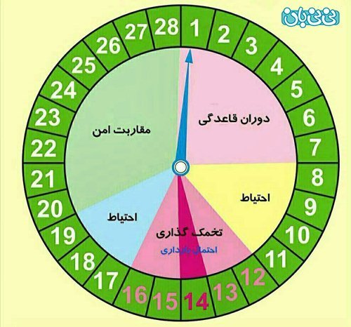  برای کم خونی در بارداری چه قرصی بخورم + قبل بارداری چه قرصی بخورم