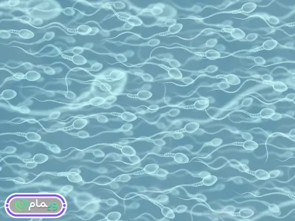  فواید ریختن اسپرم داخل رحم+حکم ارضا شدن با دست همسر+سکس مقعدی