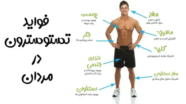  عوارض خودارضایی در بدنسازی + عقب افتادن پریود تا چند روز طبیعی است