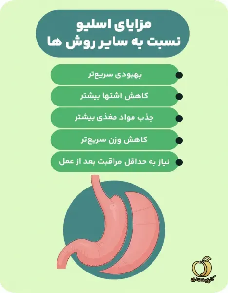  آیا لیپوماتیک خطرناک است+قبل از عمل لیپوماتیک چی بخوریم+اسلیو معده یعنی چی