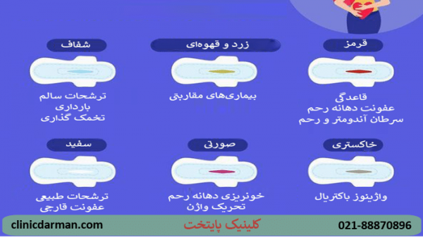  عکس واژن زنان (مهبل) + محل دخول + بیماریهای واژن + ناز زن کجاست با عکس