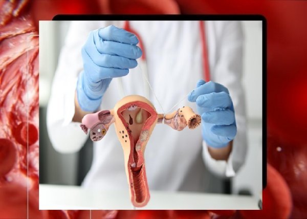  عکس چیز زن واقعی + دستگاه تناسلی زنان + عکس