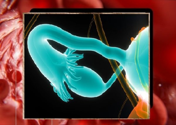  عکس چیز زن واقعی + دستگاه تناسلی زنان + عکس