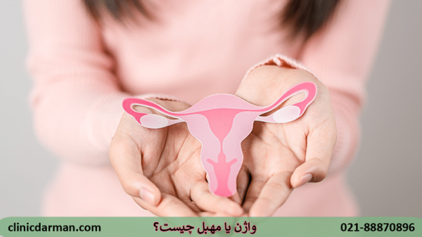  عکس چیز زن واقعی + دستگاه تناسلی زنان + عکس