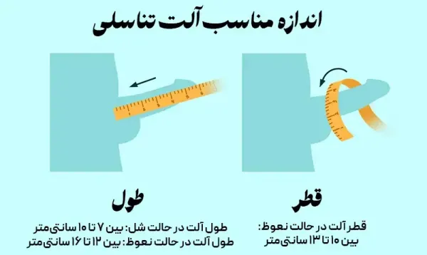  عکس چیز مرد واقعی + آلت تناسلی مردان + اندازه طبیعی آلت تناسلی مردان
