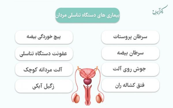  عکس چیز مرد واقعی + آلت تناسلی مردان + اندازه طبیعی آلت تناسلی مردان