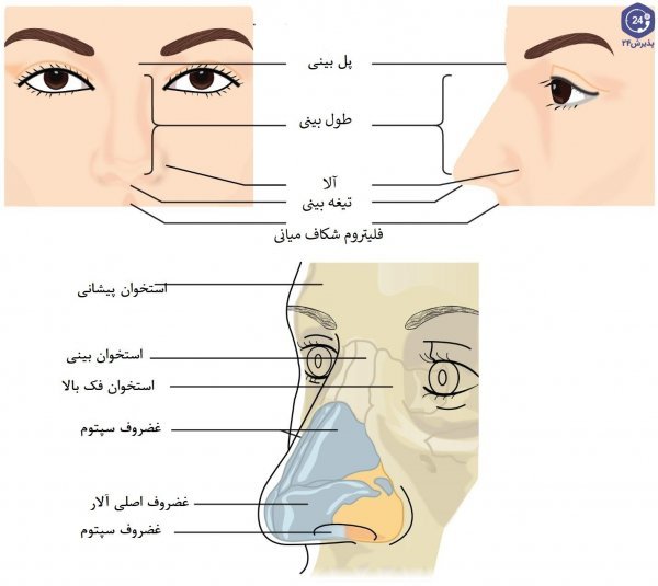  مدت زمان عمل بینی استخوانی