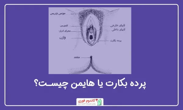  چگونه بفهمیم پرده بکارت سالم است با عکس