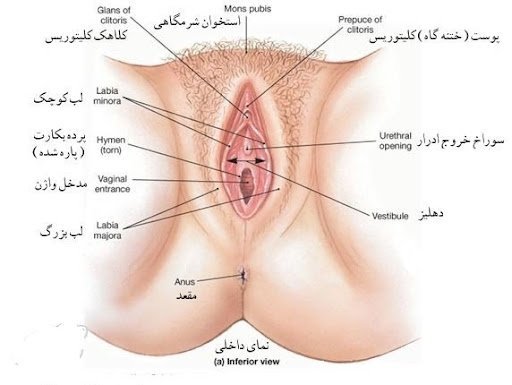  پاره گی پرده بکارت در اثر ورزش و خودارضایی