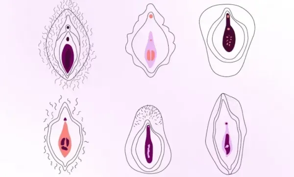  هزینه دوخت پرده بکارت