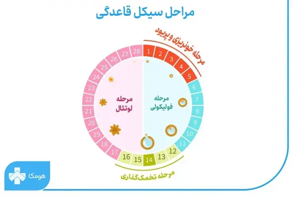  علت شهوتی شدن در زمان پریودی+سکس در پریودی