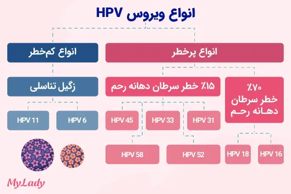  HPV اچ پی وی در زنان چه علائمی دارد/هزینه آزمایش اچ پی وی چقدر است