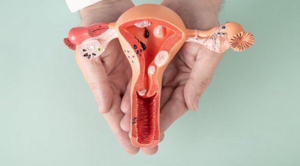 بعد از برداشتن رحم اسپرم کجا میرود/سکس بعد از برداشتن رحم