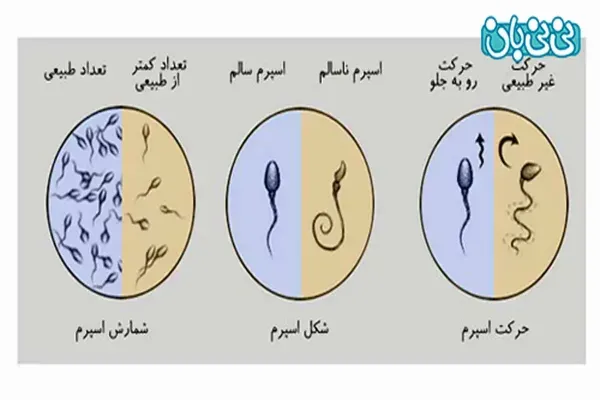  بهترین داروی تقویت اسپرم