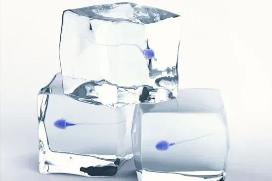 شرایط فریز اسپرم / روش فریز اسپرم / نحوه فریز اسپرم