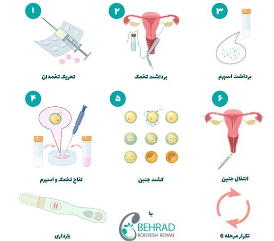  شرایط فریز اسپرم / روش فریز اسپرم / نحوه فریز اسپرم