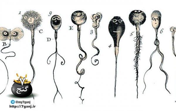  شرایط فریز اسپرم / روش فریز اسپرم / نحوه فریز اسپرم