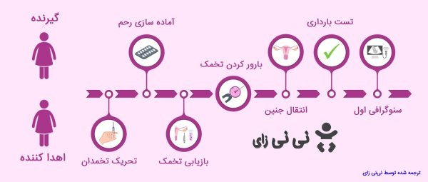  آیا دختران باکره میتوانند تخمک اهدا کنند؟