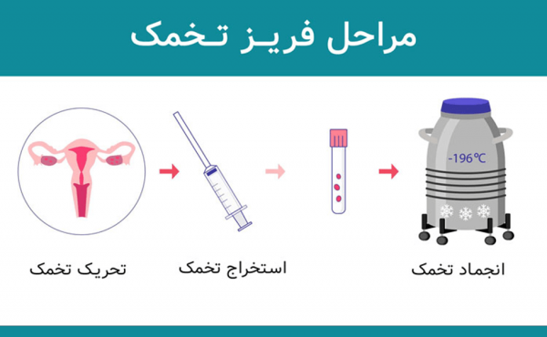  آیا دختران باکره میتوانند تخمک اهدا کنند؟