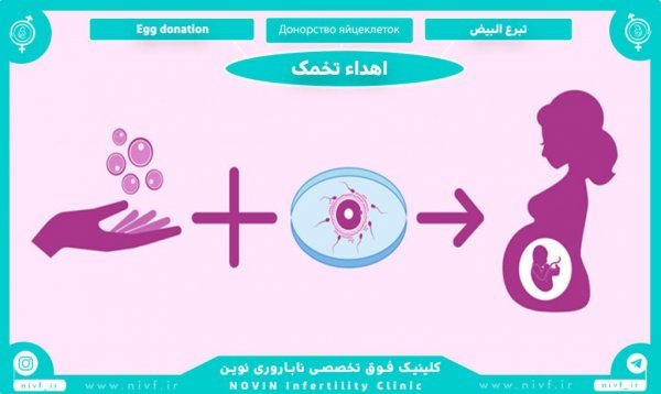  آیا اهدای تخمک باعث نازایی میشود/تجربه زنان پس از اهدای تخمک