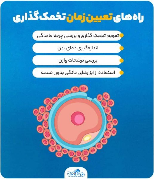  آیا اهدای تخمک باعث نازایی میشود/تجربه زنان پس از اهدای تخمک