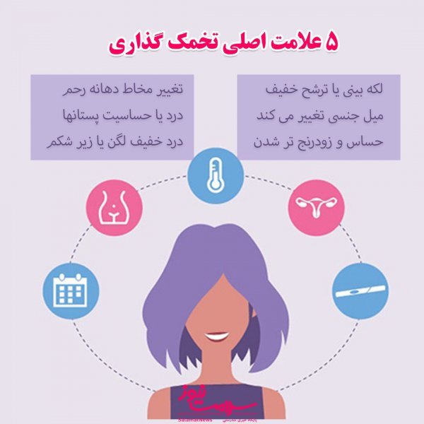  آیا اهدای تخمک باعث نازایی میشود/تجربه زنان پس از اهدای تخمک