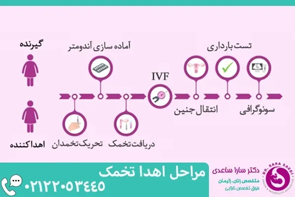 آیا اهدای تخمک باعث نازایی میشود/تجربه زنان پس از اهدای تخمک