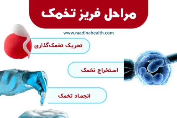  مقایسه کامل بین فریز اسپرم و فریز تخمک