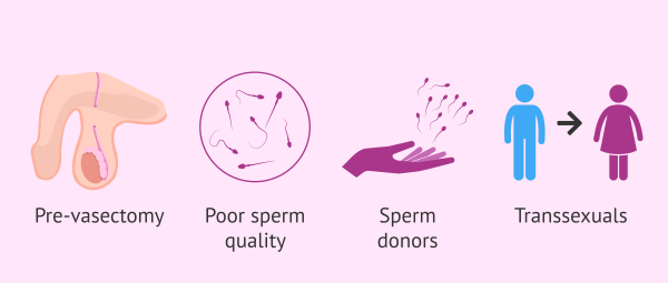  مقایسه کامل بین فریز اسپرم و فریز تخمک